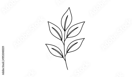 Simple Hand Drawn Plant Illustration Outline Vector on White Background