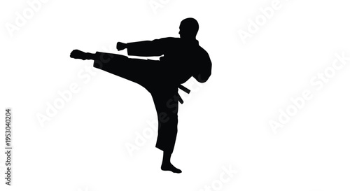 Silhouette of a martial artist executing a dynamic kick against a white background