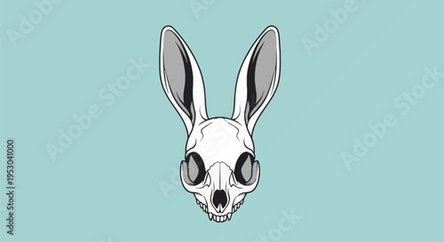 Stylized vector graphic of a white hare skull featuring elongated ears, large orbital sockets, and anatomical details, centered on a solid light teal background for design.