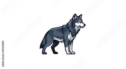 Vector illustration of a standing grey wolf with white chest and paws isolated on a white background. Side view of a stylized canine mascot with detailed fur and yellow eyes.