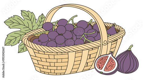 Hand drawn wicker basket filled with purple grapes and fresh figs with green leaf vector illustration