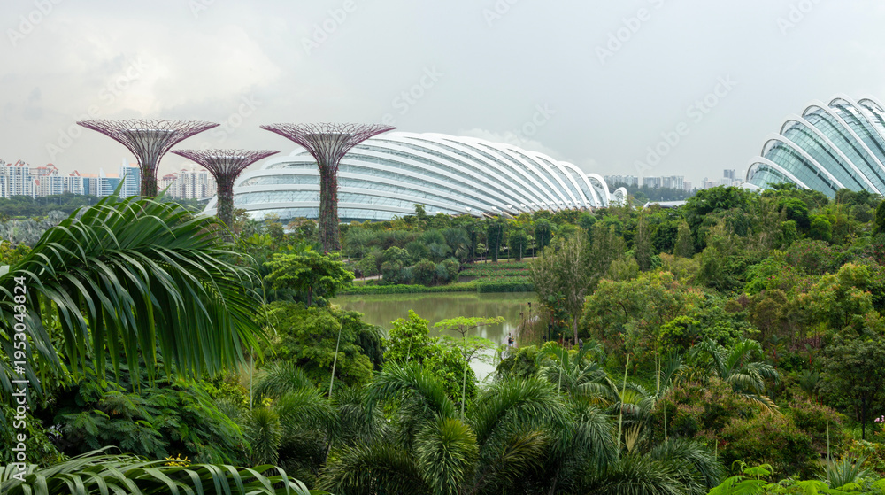 Fototapeta premium Singapore park landscape