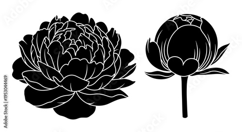 Elegant Black Peony Flower and Bud Vector Illustration Set for Floral Designs, Wedding Invitations, and Botanical Graphics