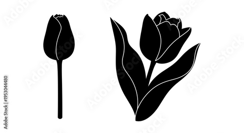 Minimalist Black Tulip Flower and Bud Silhouette Vector Set for Botanical Designs, Spring Themes, and Floral Graphics
