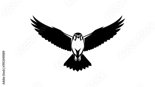 Majestic falcon in flight silhouette with outstretched wings on white background