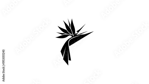 Minimalist bird of paradise flower on a white background
