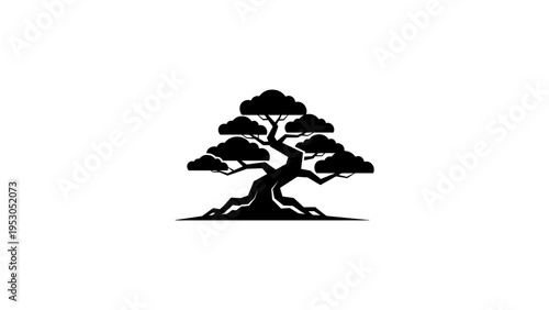 Minimalist silhouette of a bonsai tree with elegant branches