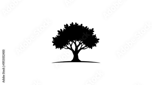 Silhouette of a lone tree on a white background