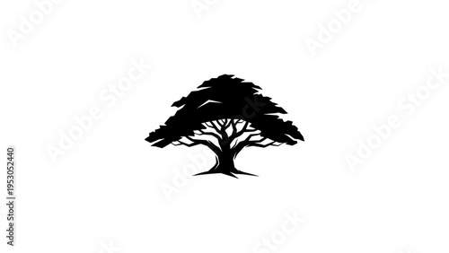 Silhouette of a tree with dense foliage on a white background
