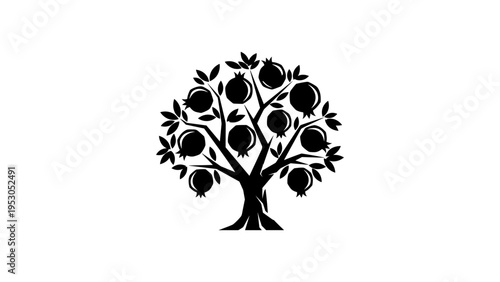 Silhouette pomegranate tree with fruit on branches