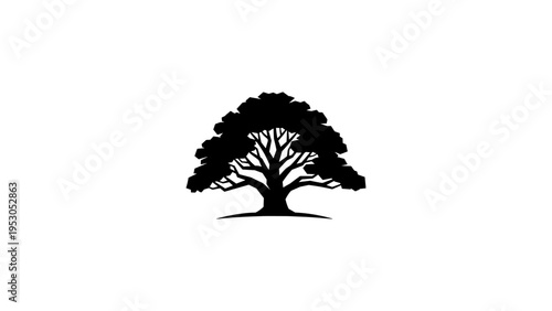 Majestic oak tree silhouette on white background for nature design elements