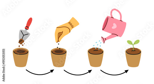 Illustration of the process of planting seedlings and growing a plant in a pot