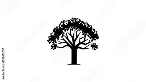Silhouette of a large tree with dense foliage