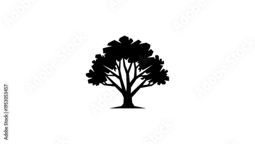 Silhouette of a majestic tree with detailed branches isolated on white