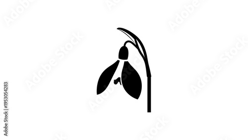 Minimalist snowdrop flower icon in black silhouette design