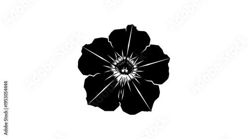 Elegant silhouette of a black flower with detailed petals on white background