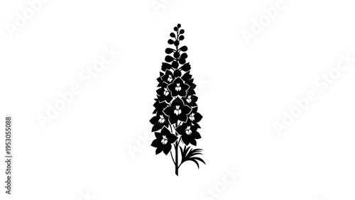 Elegant floral silhouette of a delphinium blossom isolated on white background