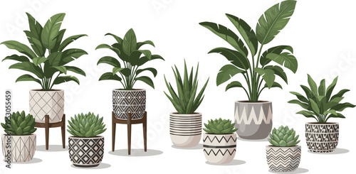 Collection of indoor houseplants in decorative ceramic pots isolated on white