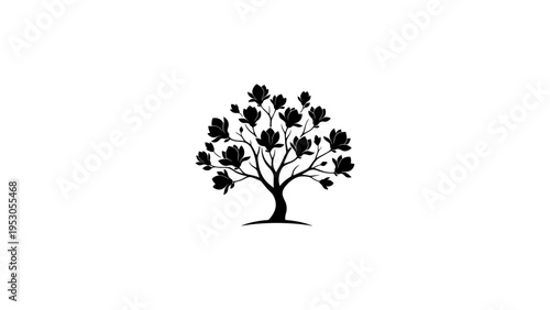 Silhouette of elegant magnolia tree with blossoming flowers on white background