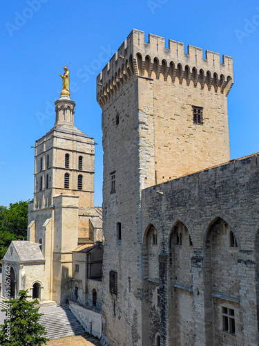 Schilderij op canvas Avignon Cathedral with a gilded statue of Virgin Mary on top, in the center, near is an historical famous Papal palace