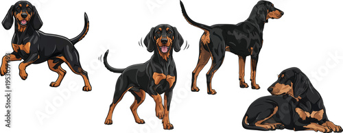 Hungarian Hound dog happy playful standing rear view pose set