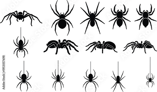 Foto Black spider silhouettes, tarantula icons, hanging creepy arachnids, Halloween h