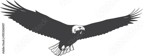 A majestic bald eagle in flight with wings spread wide and feathers detailed