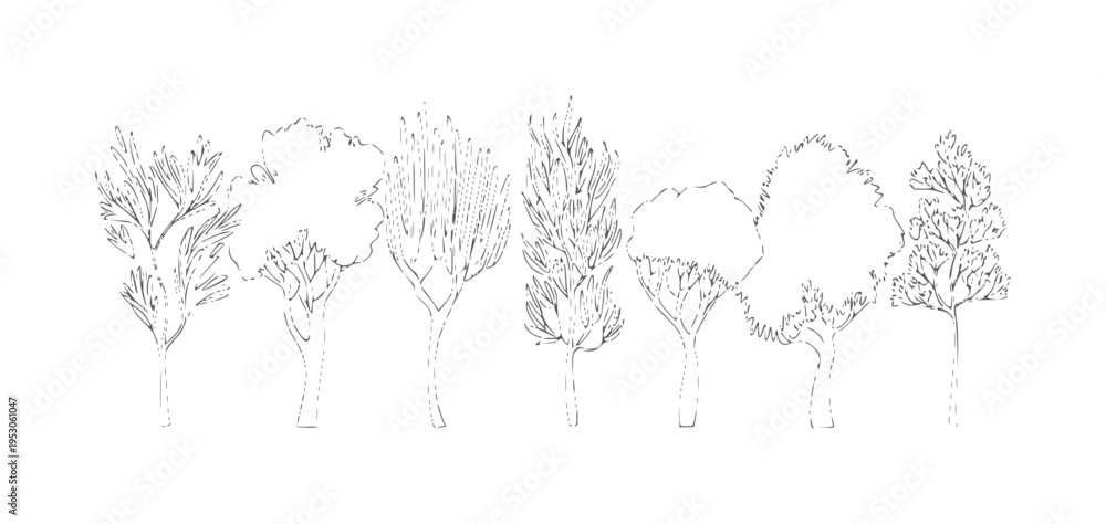 Fototapeta premium Black and white line of seven diverse trees 1