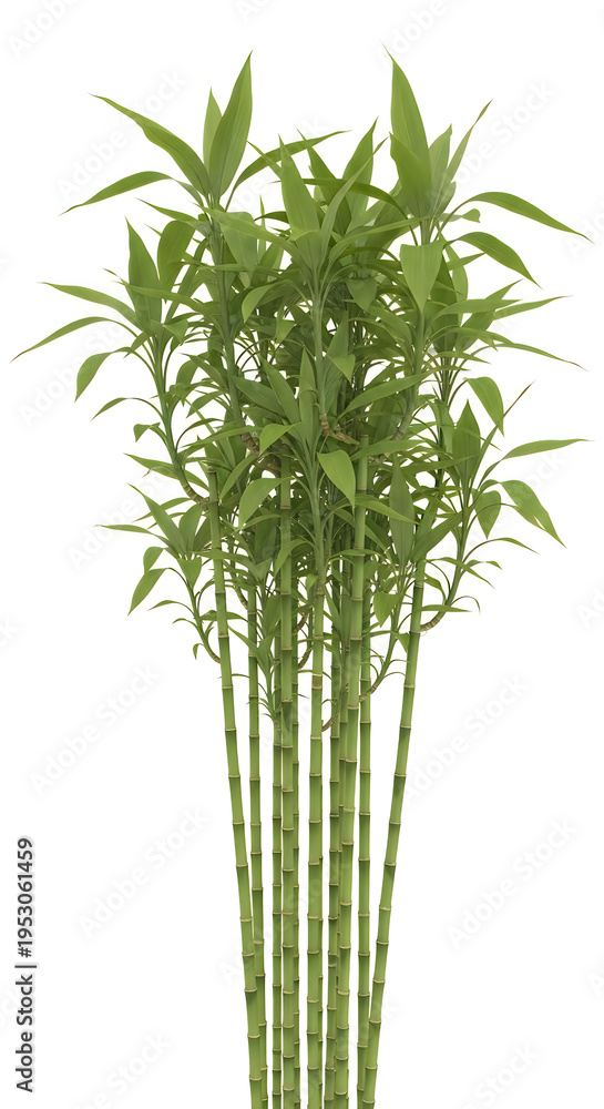 Obraz premium Fresh bunch of green bamboo shoots with vibrant leaves standing upright