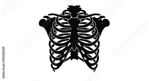 Black ribcage skeleton illustration on white background, medical anatomy symbol, health care concept, human body part, detailed rib cage design element