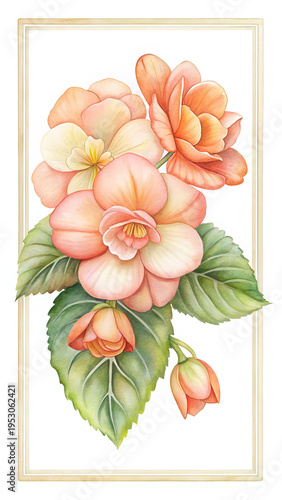 Wallpaper Mural Elegant Peach Begonia Watercolor Painting Framed for a Classic Botanical Aesthetic Torontodigital.ca