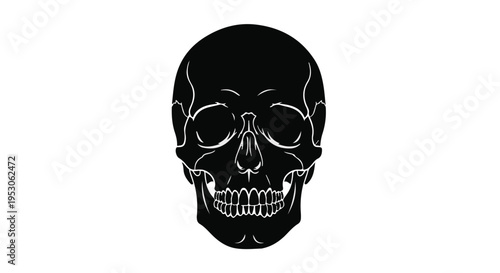 Black skull illustration, white outline, on white background, Halloween symbol, death icon, scary face