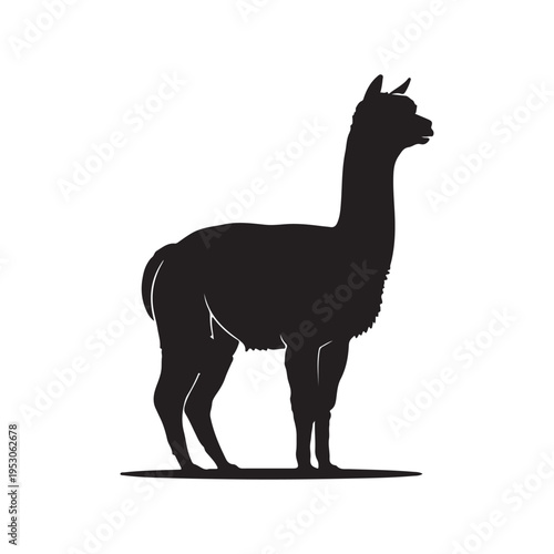 Alpaca black silhouette vector illustration.