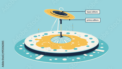 Illustration of Genetic Editing Technologies: Differentiating Base and Prime Editors in a Laboratory Setting with Focus on DNA Modification