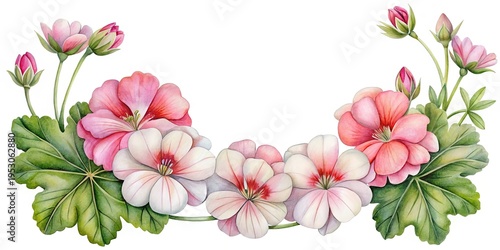 Wallpaper Mural Watercolor Geranium Flower Arrangement with Buds and Green Leaves on White Background Torontodigital.ca