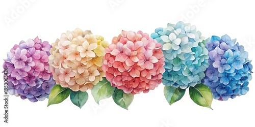 Wallpaper Mural A vibrant row of watercolor hydrangea blooms in various pastel colors Torontodigital.ca