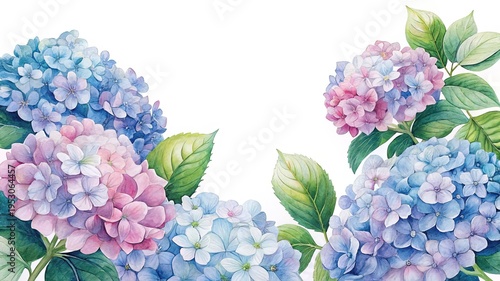 Wallpaper Mural Elegant watercolor illustration of blooming hydrangeas in shades of blue and pink Torontodigital.ca