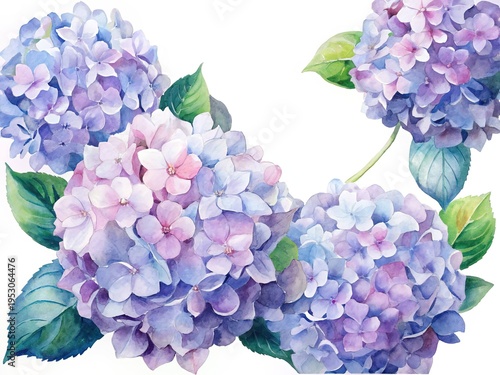 Wallpaper Mural Watercolor painting of Hydrangeas in various shades of blues and purples Torontodigital.ca