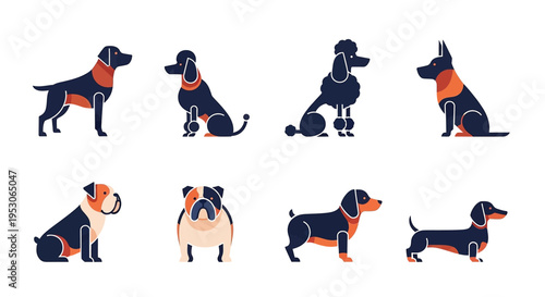Dog breeds canine and pet animals in a playful illustration for animal lovers showcasing various dog types with cute puppies happily posing in a modern design style Graphics icons and vector art with