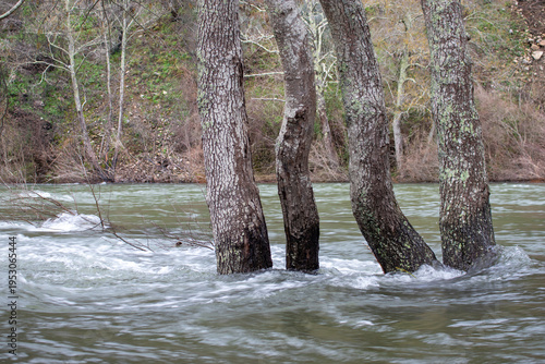 Rio para lá das margens