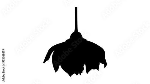 Silhouette of a hanging bat on a branch