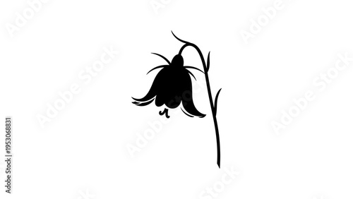Black silhouette of bellflower on stem with white background