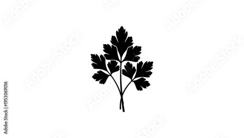 Minimalist parsley leaf silhouette on white background for culinary and botanical designs