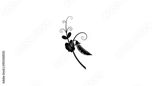 Elegant black silhouette of pea plant with swirling vines on white background