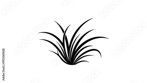 Elegant black silhouette of grass blades on white background