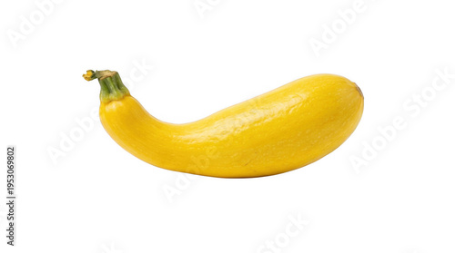 Fresh vibrant yellow summer squash displaying its characteristic curved neck and bulbous body isolated against a pure black background with soft studi