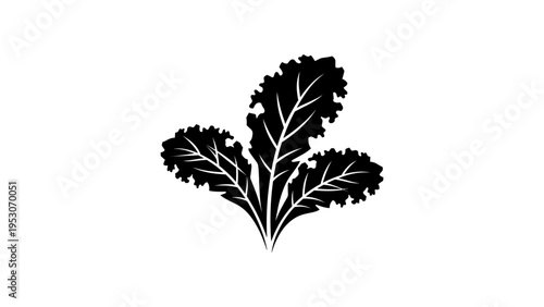 Minimalist kale silhouette design perfect for healthy lifestyle themes