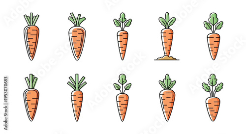 Fresh orange carrots with green leaves.