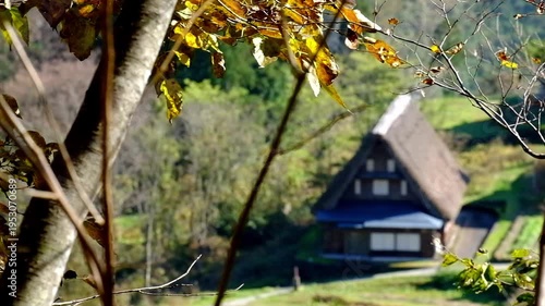 Wallpaper Mural 五箇山合掌造り集落相倉　世界遺産新緑の季節 Torontodigital.ca