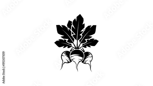 Bold silhouette of root vegetable with detailed leaf design on white background